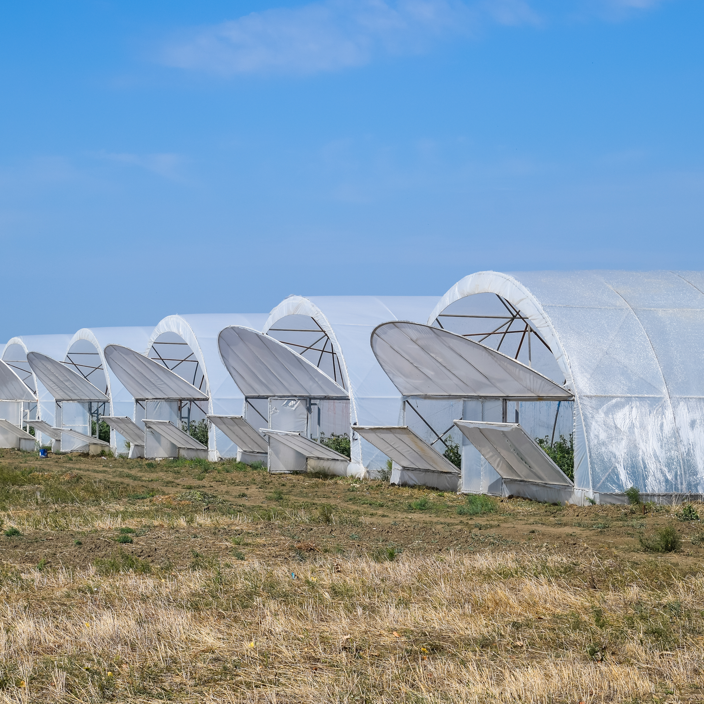 Zonnepanelen op een staldak, afgeknepen op een zonnige middag